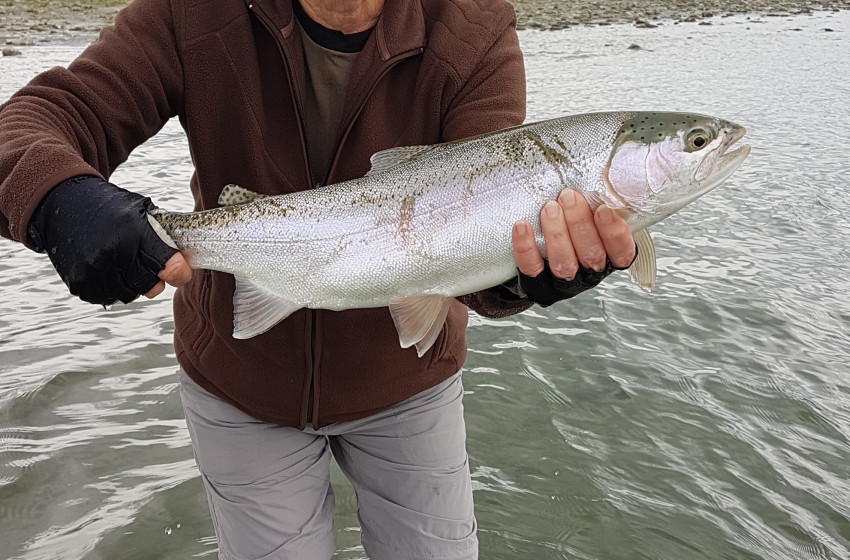 Will Spry Fishing Report for December 2018