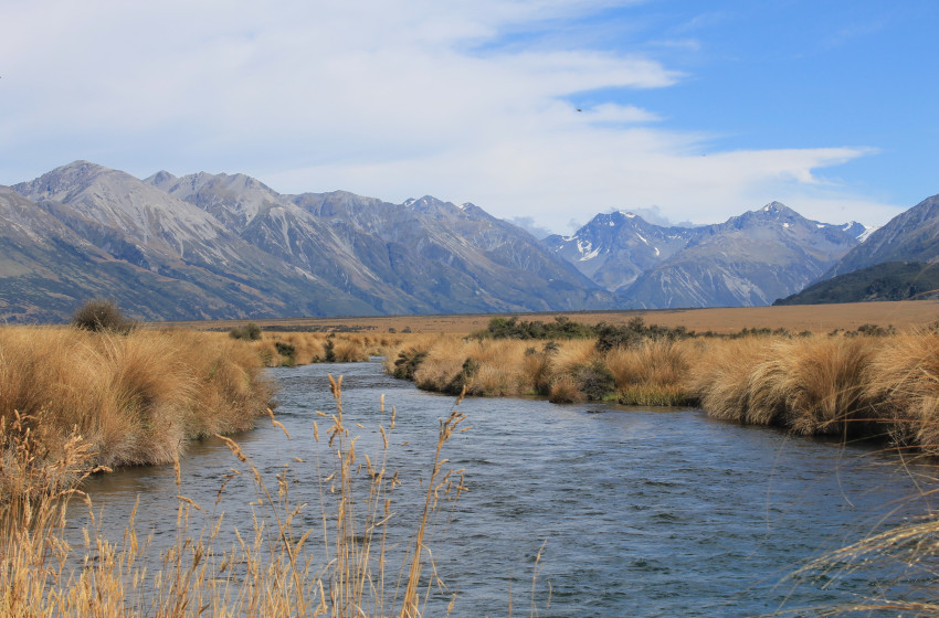 Fishing report for the North Canterbury Region Friday 21st December 2018