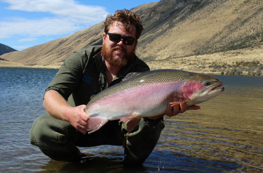 Fishing report for the North Canterbury Region Friday 8th February 2019