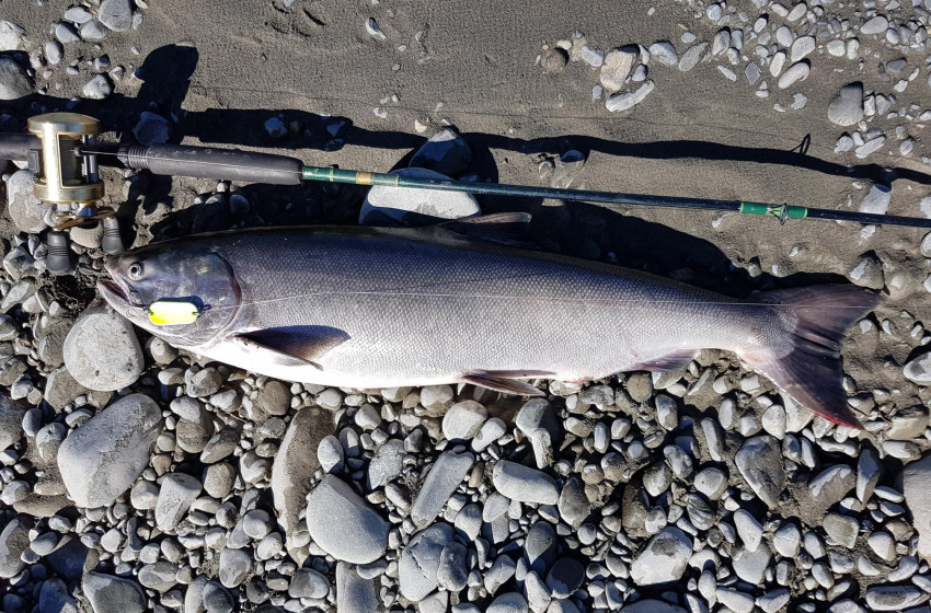 North Canterbury Fishing Report 30th March 2018