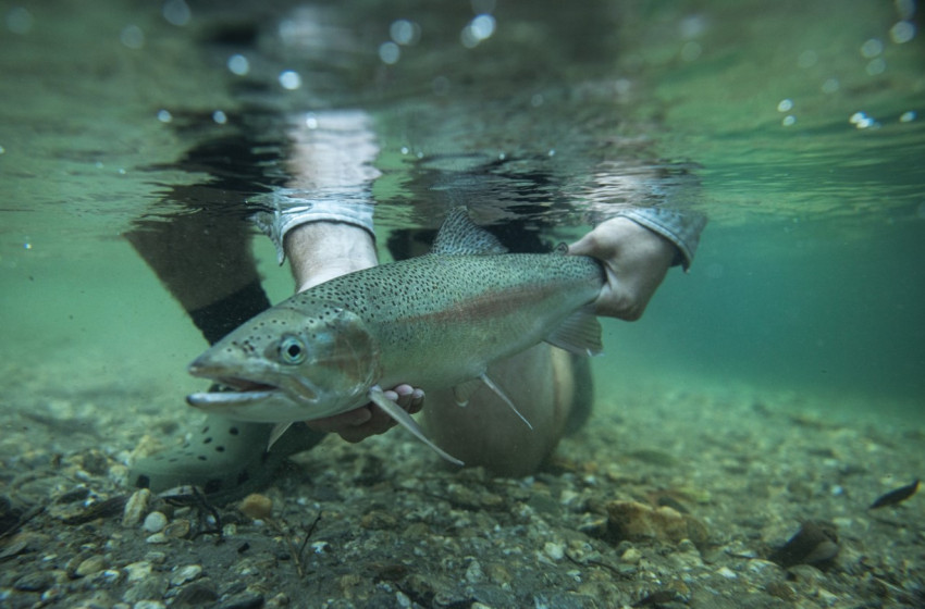 Otago Weekly Fishing Report - 2 March 2023