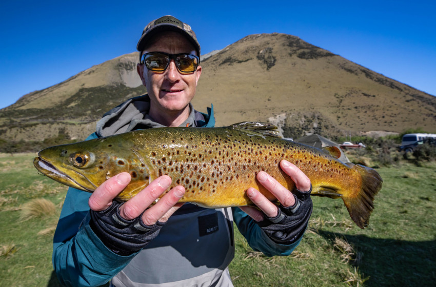 Brown trout fishing  The Weekend Angler's Diary