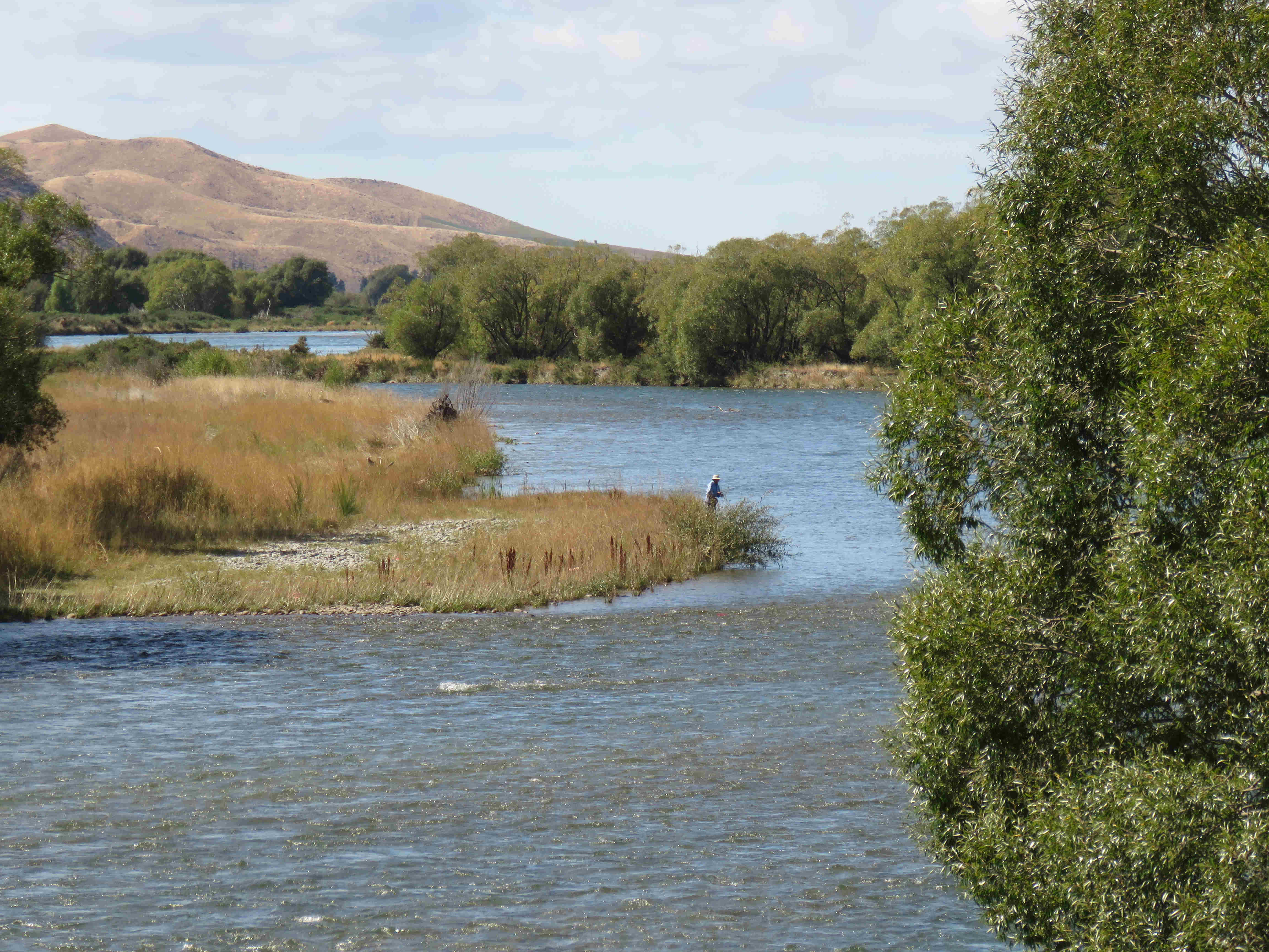 WFR2122.05 The Waitaki River offers excellent trout fishing in October especiall