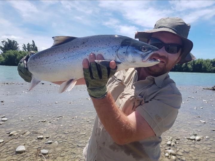 WFR1819.33 3.5kg sea run brown from the Waitaki River