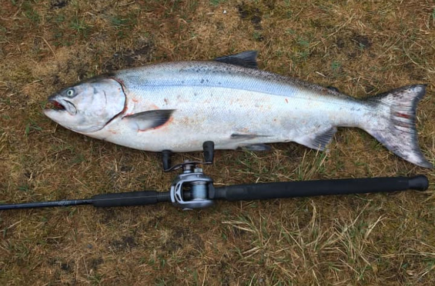 Weekly Fishing Report – Central South Island- 03-12-2020