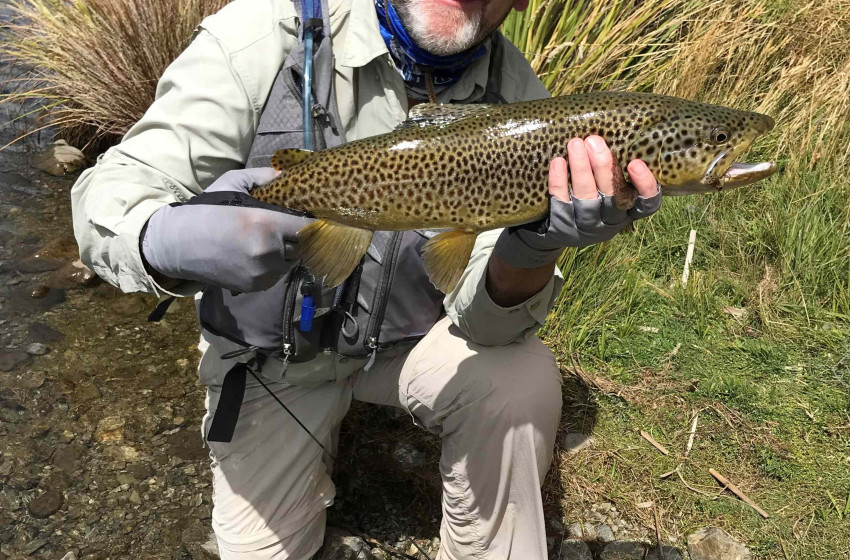 Weekly Fishing Report – Central South Island- 14-07-19