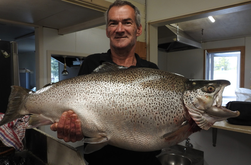 Weekly Fishing Report – Central South Island - 29-10-2020