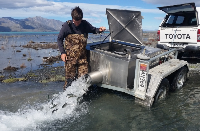 Weekly Fishing Report – Central South Island Region – 06/04/18