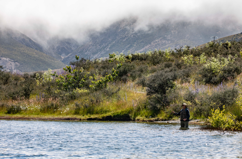Weekly Fishing Report for Central South Island and North Canterbury for 2 February 2023