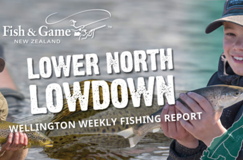 Wellington Weekly Fishing Report - 30th September 2021
