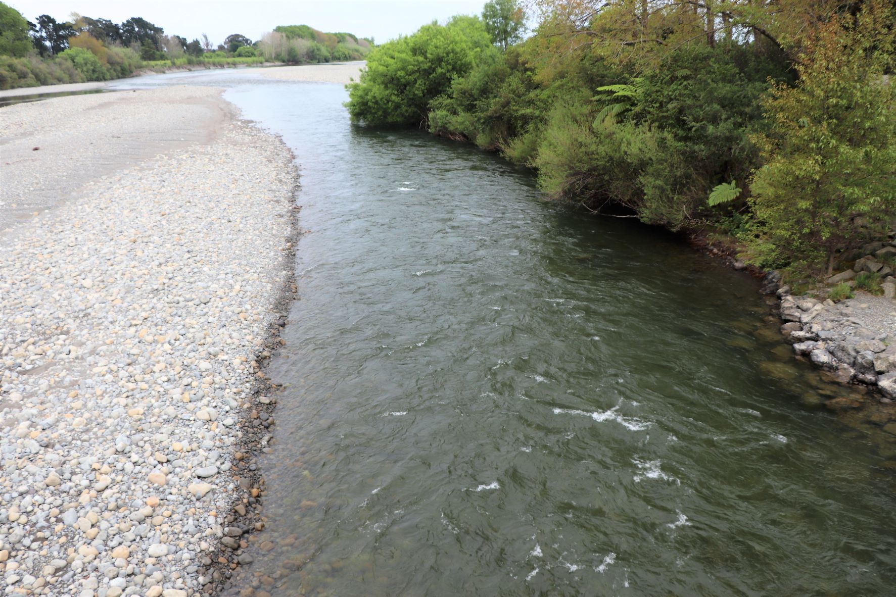Otaki River SH2 16.9cumecs Pukehinau
