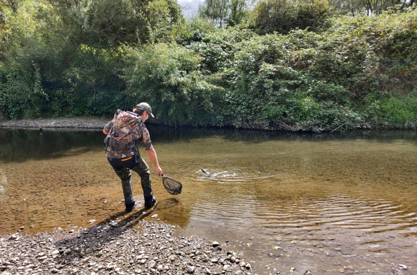 Wellington Weekly Fishing Report - 4 February 2021