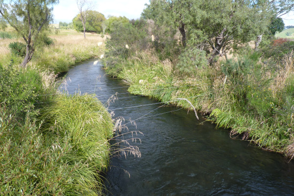 Taranaki - Fish & Game