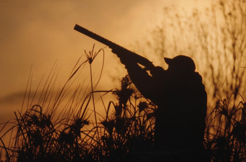 Hawkes Bay Game Bird Regulation Recommendations