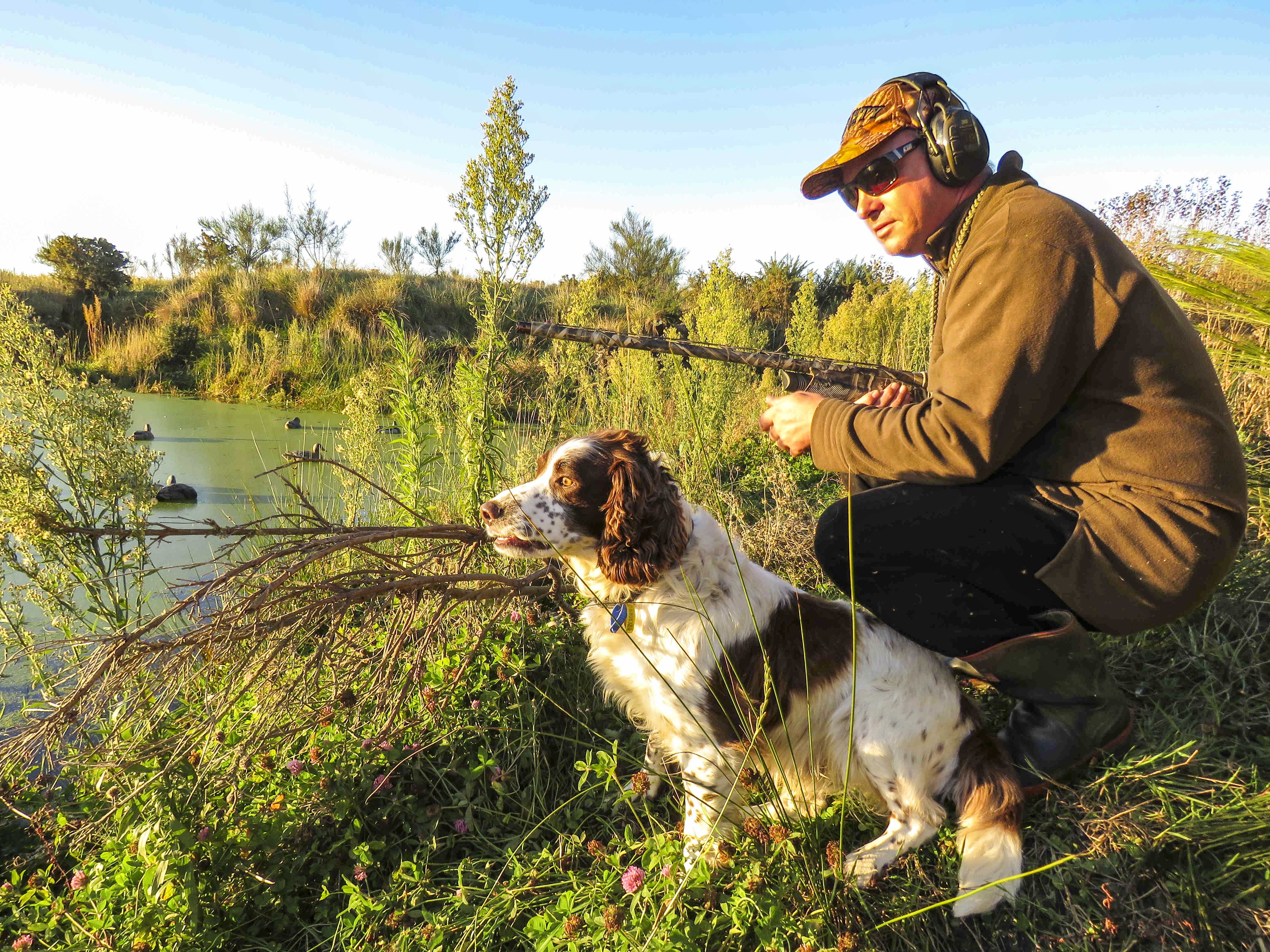 BBcsiMay3 Rodney Herrick and spaniel Ash out hunting in the Waitaki Valley credit Rhys Adams 1