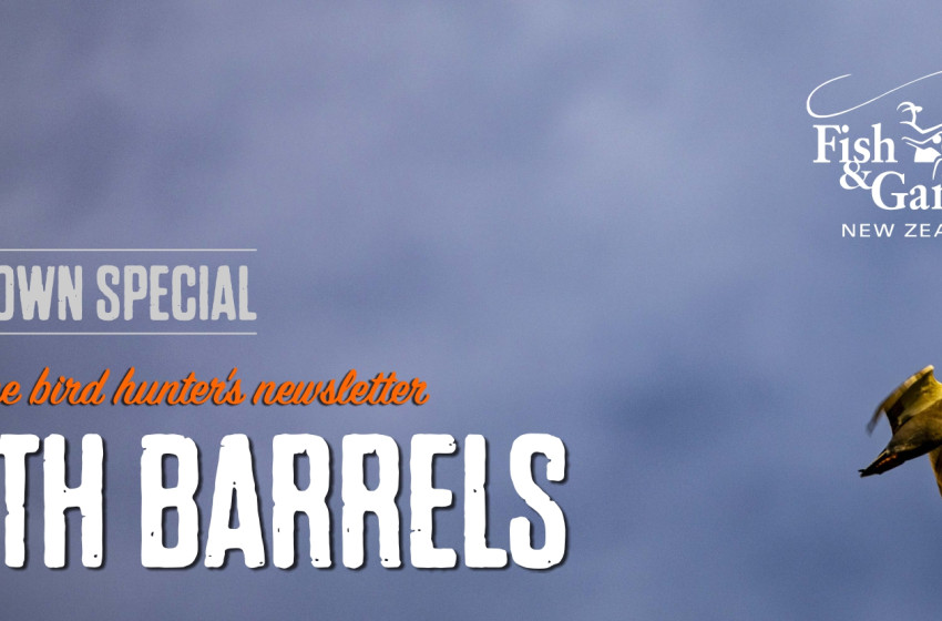 Special Lockdown Edition Both Barrels April 2020