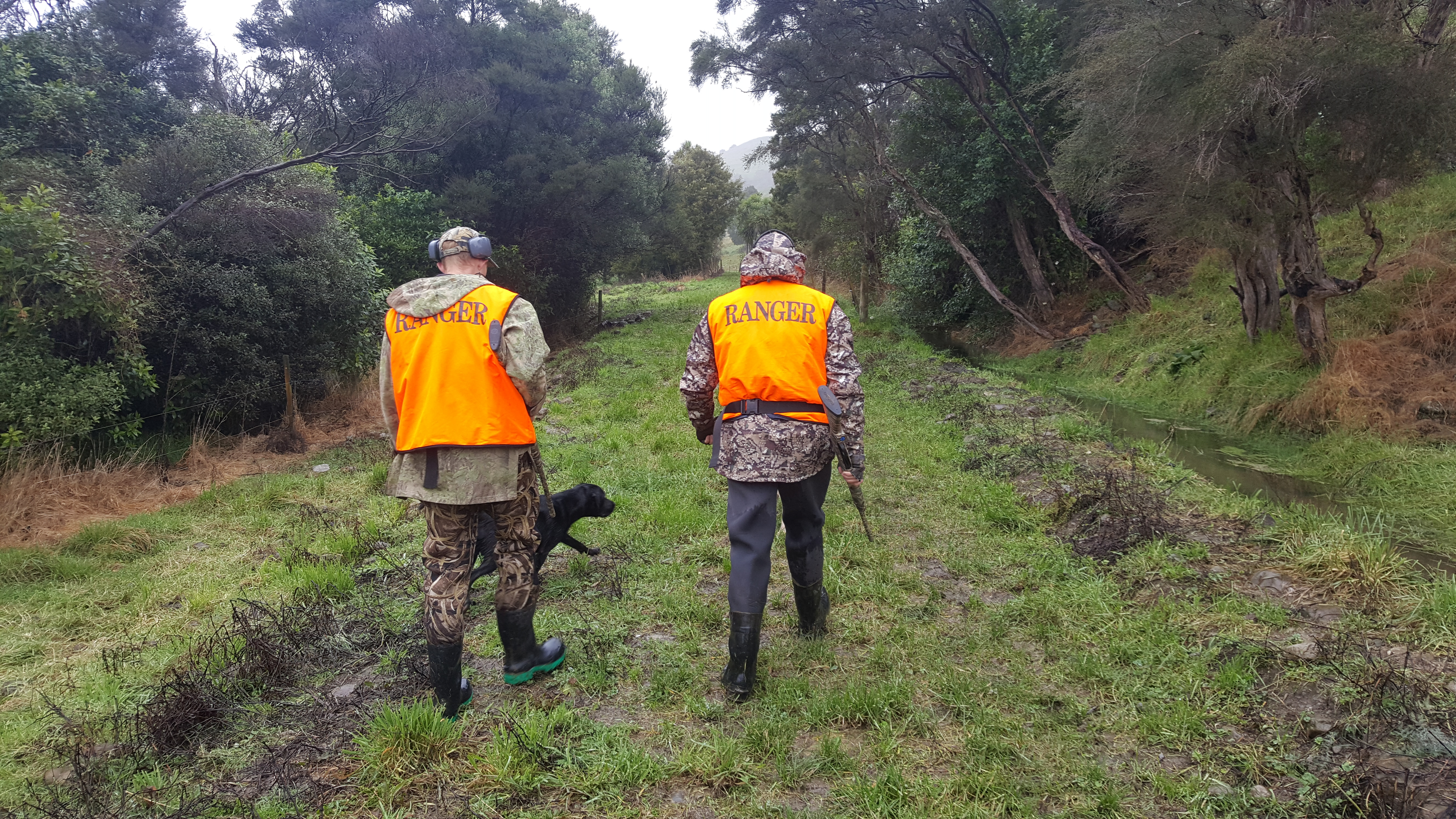 W 2 Fish Game rangers on a pukeko drive enjoying some shooting for themselves Credit Hamish Carnachan