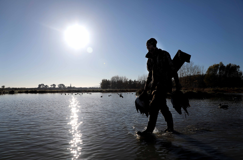 Do it now - Duck hunters urged not to leave licence purchase until last minute