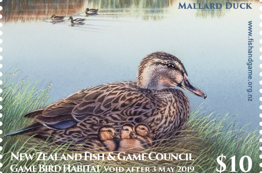 Help our threatened wetlands on World Wetlands Day