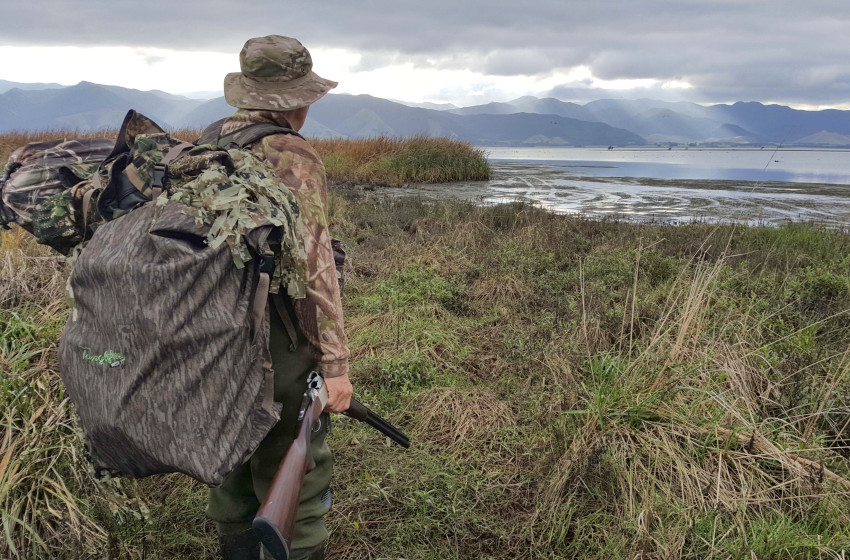 Stars align for lower North Island duck hunters