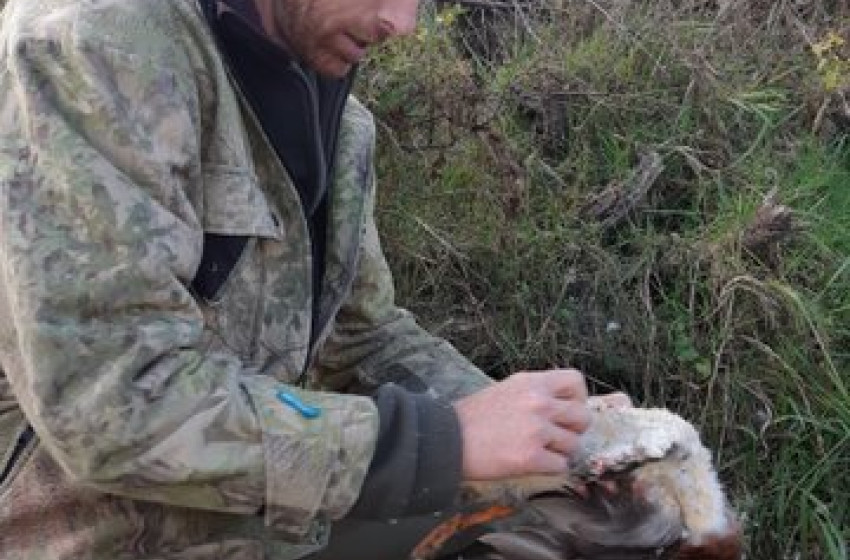 Waterfowl hunters applauded for responsible attitude