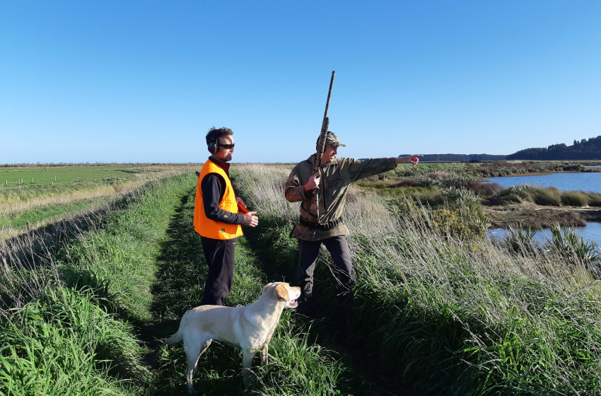 Wellington Weekly Hunting Report - 04 July 2019