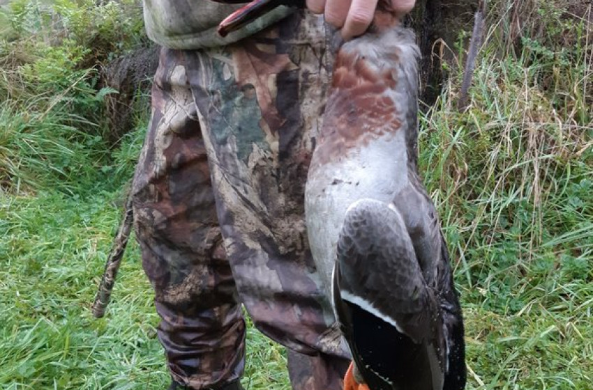 Wellington Weekly Hunting Report 31st May 2018